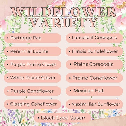 Wildflower Seed Packets Thank You Bunches Party Favors (Pack of 20) - Express Gratitude with a Wildflower Seed Mix, Great Addition or Alternative to Thank You Cards