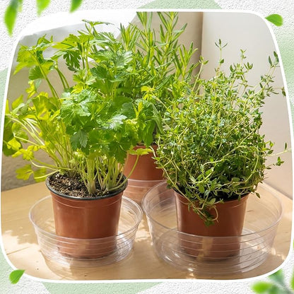 Hoolerry 15 Pcs Plastic Plant Saucer Clear Deep Drip Tray Thickened Clear Plant Saucers Trays for Pots Deep Drip Trays for Home Garden Indoor and Outdoor Potted (10,12,14 Inch)