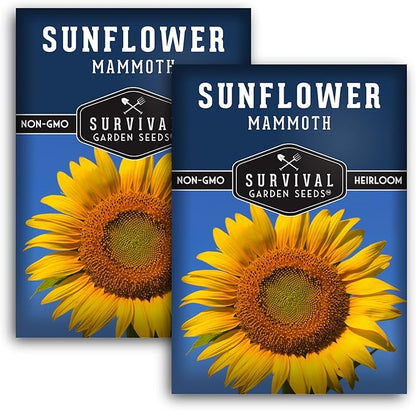 Mammoth Sunflower Seeds for Planting | Giant 12 ft Plants with Edible Seed Harvest – Heirloom Non-GMO – Survival Garden Seeds (2 Packs)