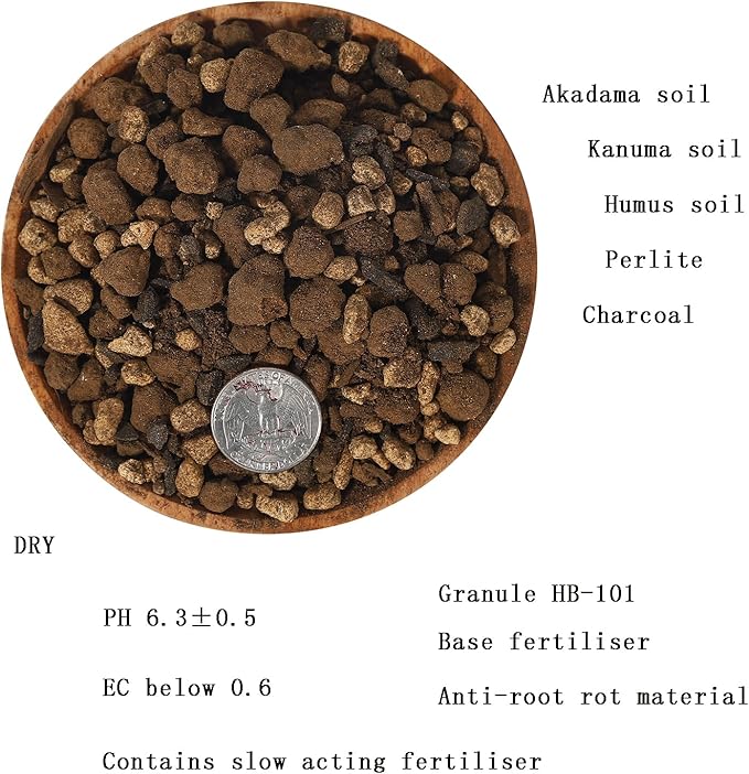 Chrysanthemum Potting Soil Mix