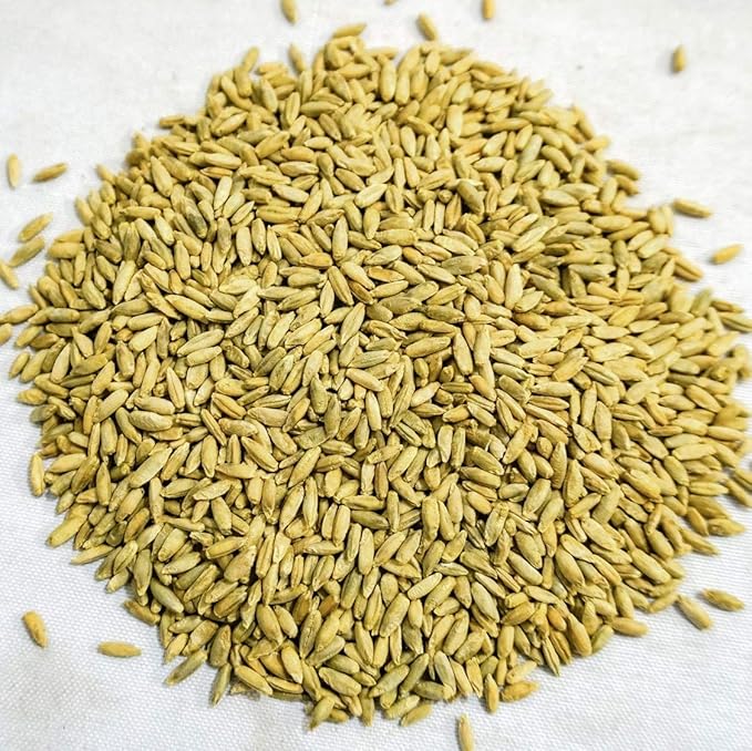 Thunder Acres Organic Winter Rye Seeds, Non-GMO (3 lb)