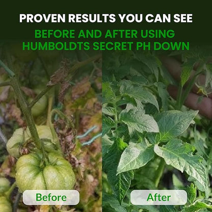 Humboldts Secret Golden Tree Liquid Plant Food | Enhances Growth Indoors or Outdoors | All-in-One Plant Nutrients for Vegetables, Trees, Flowers, Fruits, Roses, Lawns, Tomatoes | 64 Ounce