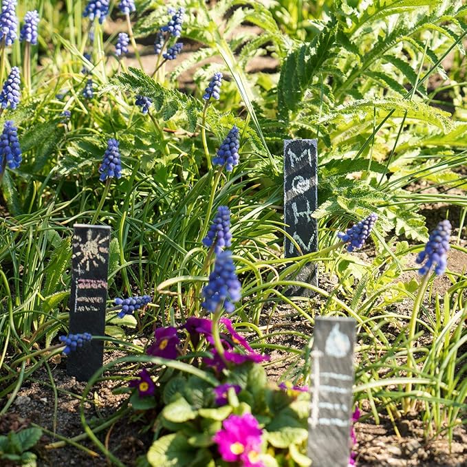 Navaris Slate Garden Labels - 10 Natural Slate Plant Labels for Outdoor Plants, Plant Name Sticks, Herb Labels for Garden - Greenhouse Accessories