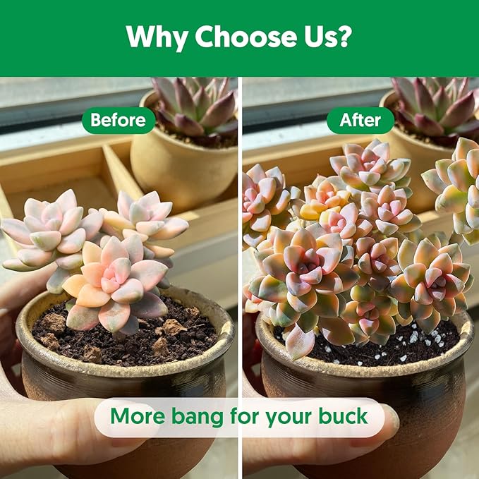 Succulent Cactus Potting Soil Mix (12 qt), All-Purpose Garden Potting Mix for Indoor Outdoor Plants, Quick Drain Houseplant Orchid Bonsai Perlite Soil, Ready-to-Use, Resealable Bag Design
