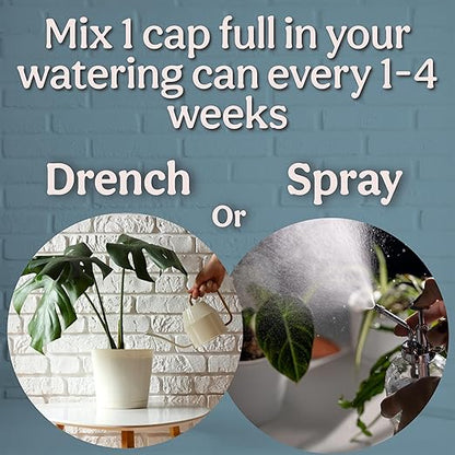 Organic Liquid Kelp & Seaweed Extract (Ecklonia Maxima) Plant Super Food - Indoor Houseplant Fertilizer - Organic Fertilizer for Flowers, Seedlings & Gardens - 12oz Treats 75 Gallons