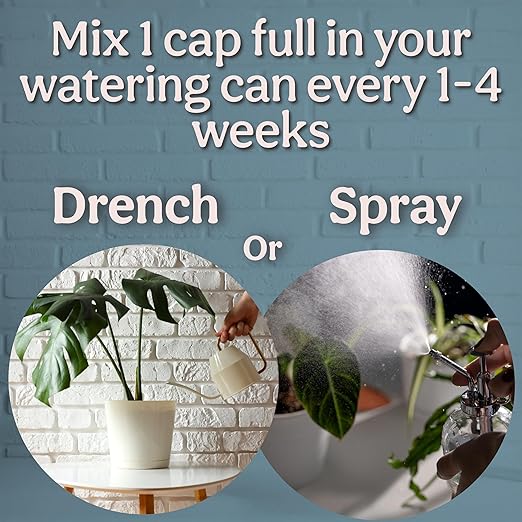 Organic Liquid Kelp & Seaweed Extract (Ecklonia Maxima) Plant Super Food - Indoor Houseplant Fertilizer - Organic Fertilizer for Flowers, Seedlings & Gardens - 8oz Treats 50 Gallons
