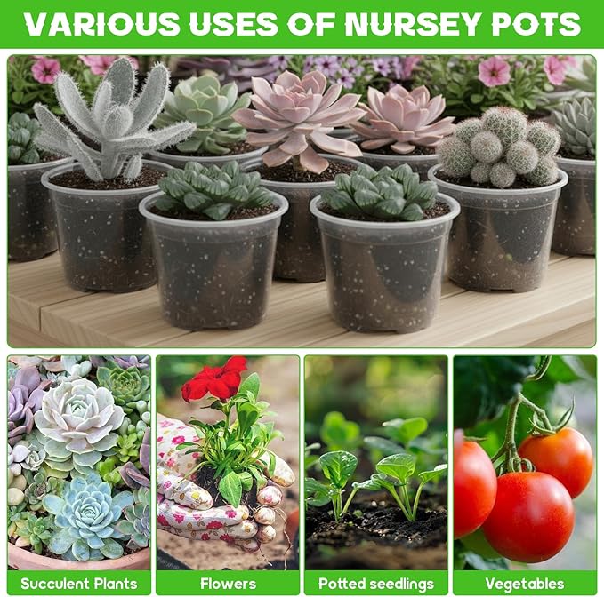 240 Pcs Clear Mini Plastic Plant Pot with Drainage Holes, 3 Inch Nursery Seedling Pots Seed Starter Round Plastic Pots for Succulent Plants Cuttings Transplanting, Indoor Outdoor Use