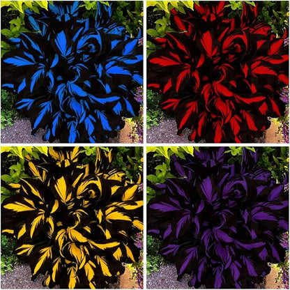 Mixed Hosta Seeds Collection(300+ Seeds),Variegated & Blue Foliage Shade Plants,Giant to Dwarf Perennial Ground Cover Seeds for Low Maintenance Garden