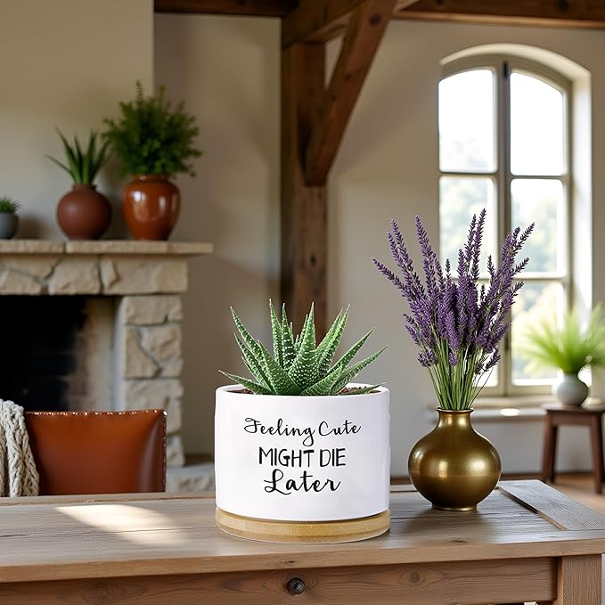 Funny planters for Indoor Plants Garden Succulent Pots, with Drainage Holes and Saucer(No Plants) (Feeling Cute Might Die Later)