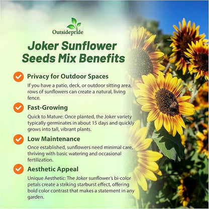 Outsidepride Joker Sunflower Seeds for Planting - 50 Pcs Annual, Easy to Grow Flower Seeds w/Vibrant, Abundant Blooms for Cut Flower Arrangements & Pollinator & Vegetable Gardens