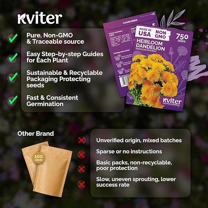 KVITER 750 Dandelion Seeds for Planting (Taraxacum officinale)– Dandelion Greens Flower Seed Starting – Edible Plants, Herb Grower, Medicinal Herbs Seeds Outdoor & Indoor Herb Garden, Containers