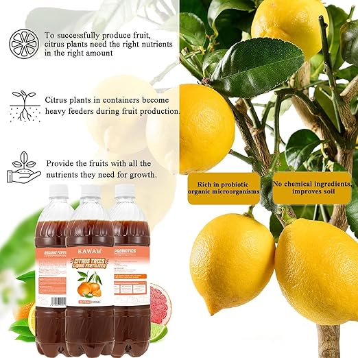 Organic Citrus Tree Probiotic Fertilizer 35oz (1000ML) – Microbial Plant Nutrient for Citrus, Apple, Lemon & Fruit Trees – Enhances Soil Health, Fruit Sweetness & Freshness