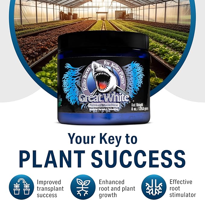 Great White Mycorrhizal Fungi 1 oz, Beneficial Bacteria for Plant Growth, Root Stimulator, Concentrated 3-in-1 Formula by Plant Success
