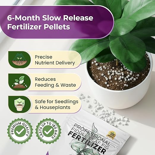 Fiddle Leaf Fig and House Plant Fertilizer Pellets |16-5-11 Slow Release Pellets for Seedlings and Mature Houseplants | Multi-Purpose Blend & Gardening Supplies| 5.2 oz Resealable Packaging