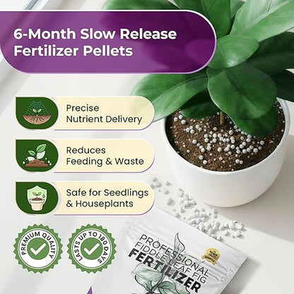 Fiddle Leaf Fig and House Plant Fertilizer Pellets |16-5-11 Slow Release Pellets for Seedlings and Mature Houseplants | Multi-Purpose Blend & Gardening Supplies| 5.2 oz Resealable Packaging
