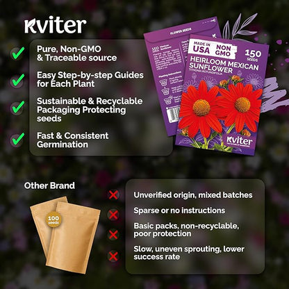 KVITER 150 Mexican Sunflower Seeds For Planting (Tithonia rotundifolia) – Tithonia Seed Packets Bulk, Red Sunflower Heirloom Seed Orange Sunflowers – Flower Seeds Garden Beds and Outdoor Flower Garden