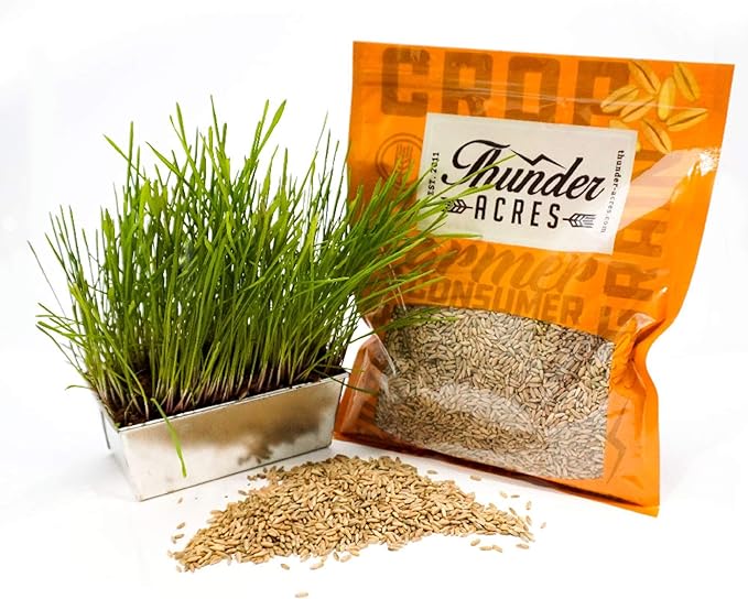 Thunder Acres Organic Winter Rye Seeds, Non-GMO (3 lb)