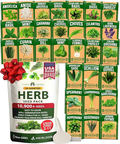 HOME GROWN 30 Herb Seeds for Planting 10,900+ Non-GMO Heirloom Seeds | Extra Large Variety Pack Herb Kit – Indoor Outdoor & Hydroponic | Culinary Seed Set | Grow Your Own Herbs | Gardening Gift