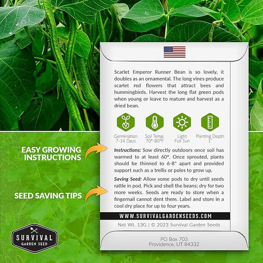Scarlet Emperor Runner Bean Seeds for Planting - 1 Packet with Instructions to Plant & Grow Red Multiflora Beans in Your Home Vegetable Garden - Non-GMO Heirloom Variety - Survival Garden Seeds