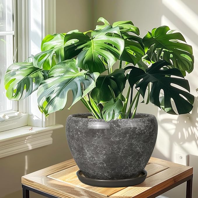 Ceramic Planters for Indoor Plants - 10 Inch Plant Pot with Drainage Hole and Saucer, Large Flower Pot for Home Decor, Gray