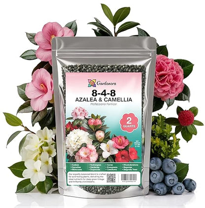 𝐁𝐄𝐒𝐓𝐒𝐄𝐋𝐋𝐄𝐑 Premium 8-4-8 Acidic Fertilizer for Azaleas, Camellias, Hydrangeas, Blueberries, Gardenias, Magnolia Trees, Evergreens and Rhododendrons - Ideal Iron-Rich Plant Food - 2 QUARTS