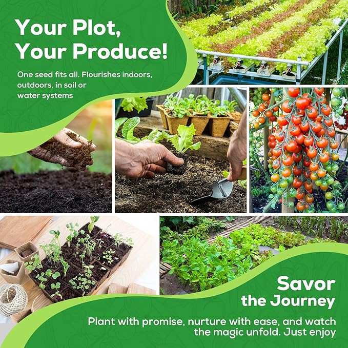 30 Heirloom Vegetable Seeds for Planting- 17,240+ Non-GMO Seeds for Planting, Individually Packeted for Indoor/Outdoor Gardens & Continuous Harvest