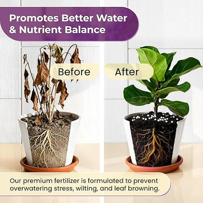 Fiddle Leaf Fig and House Plant Fertilizer Pellets |16-5-11 Slow Release Pellets for Seedlings and Mature Houseplants | Multi-Purpose Blend & Gardening Supplies| 5.2 oz Resealable Packaging