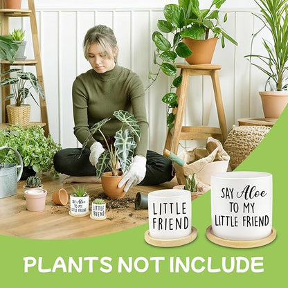 Say Aloe to My Little Friend Planter Pot, Funny Plant Pots, Aloe Plant Pot Succulent Pots with Tray Set of 2 Flower Pots Indoor Pot - Without Plants, Office Home Windowsill Gifts (No Plant)