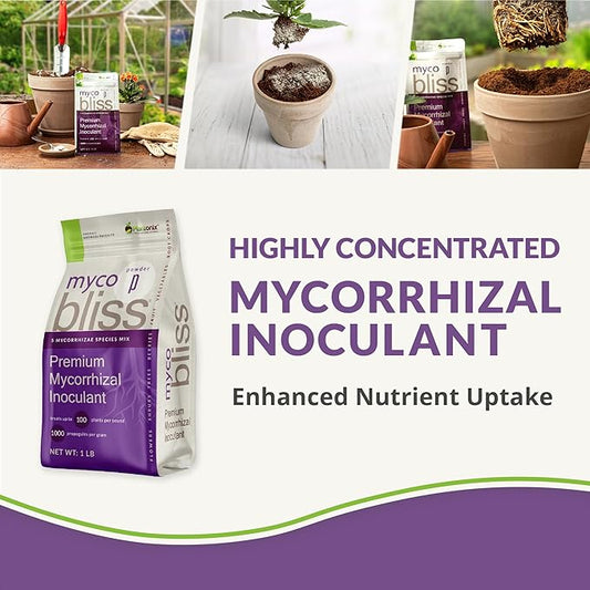 Myco Bliss Powder (1lb) + Char Bliss (1 Qt) - Mycorrhizal Fungi Inoculant & Organic Biochar for Plants - Mycorrhizal Inoculant - Mycorrhizae for Plants - Biochar Soil Amendment - Charcoal for Plants