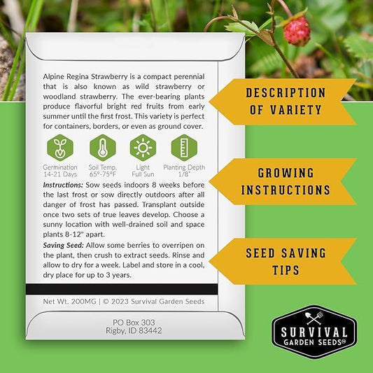 Alpine Regina Strawberry Seed for Planting - 5 Packets with Instructions to Plant & Grow Wild or Woodland Strawberries in The Home Vegetable Garden - Non-GMO Heirloom Variety - Survival Garden Seeds