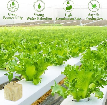 Legigo 1.2 Inch Rockwool Cubes Seed Starter Plugs for Hydroponics, RockWool Planting Grow Cubes for Hydroponic Tower Garden Soilless Cultivation Plants Germination Cutting Clone (4 Sheet, 144 Plugs)