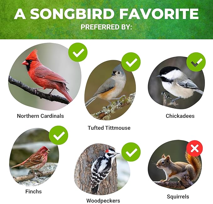 Nature Anywhere Safflower Supreme Bird Seed for Outside Feeders - Made in USA - Clean Premium Quality Wild Birds Food - Hi Protein Bird Feed - No Fillers