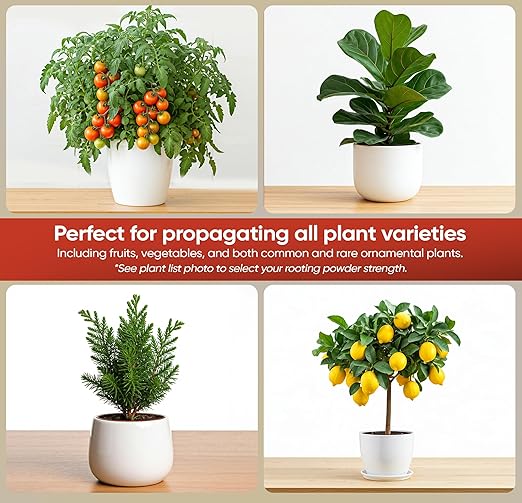 Hormex Rooting Powder #8 (0.80% IBA) for Semi-Hardwood Plants, Trees & Shrubs - High Strength Root Powder, Root Stimulator for Plants, Rooting Hormone for Cuttings, Cloning, & Woody Propagation