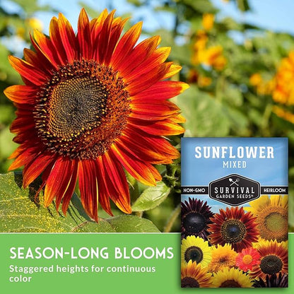 Mixed Sunflower Seeds for Planting | Colorful Blend of Heirloom Varieties for Cut Flowers & Pollinators – Heirloom Non-GMO – Survival Garden Seeds (1 Pack)
