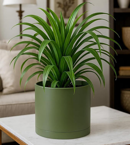 D'vine Dev 8 Inch Plastic Planter Pots for Plant Pot with Drainage Hole and Seamless Saucers, Olive, 74-X-I-1