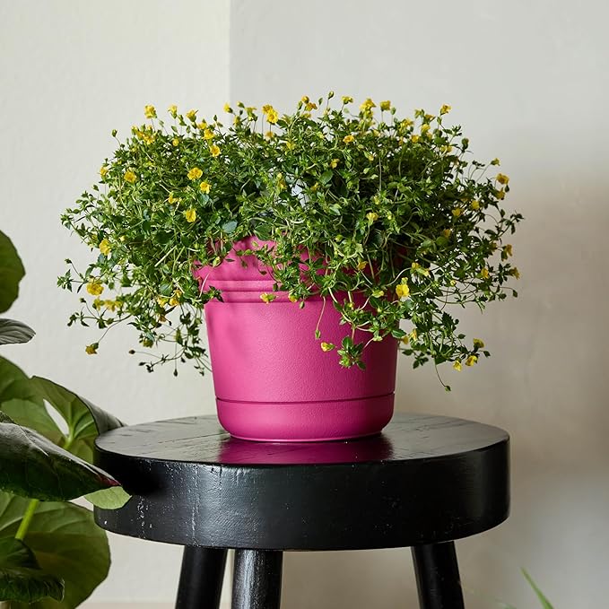 Bloem Saturn 5" Fuchsia Round Resin Planter Pot with Snap-in Saucer for Indoor and Outdoor Gardening
