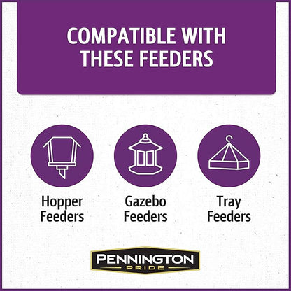 Pennington Pride Songbird Nut & Fruit Blend, Wild Bird Seed for Outside Feeders, Advanced Nutrition Formula for Health, Bird Food, 10-lb. Bag