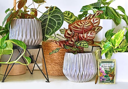 The Old Farmer's Almanac Houseplant & Flower Plant Food Mini Spikes - NPK 5-5-5 for Continuous Feeding and Vibrant Colors (72 Mini Spikes)