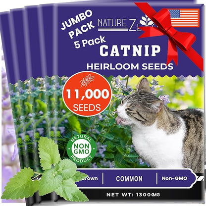NatureZ Edge Catnip Seeds for Planting, 6.5 Grams, 11,000+ Herb Seeds, Indoor or Outdoor Growing, Your Cat Will Love Them, Non-GMO