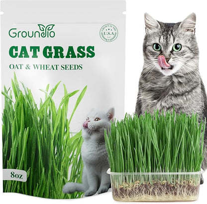 Cat Grass Seeds 8oz, Non-GMO Wheat Cat Grass Seeeds & Oat Seeds Mix, High Germination Cat Grass Seeds Grown in USA for Indoor Cats