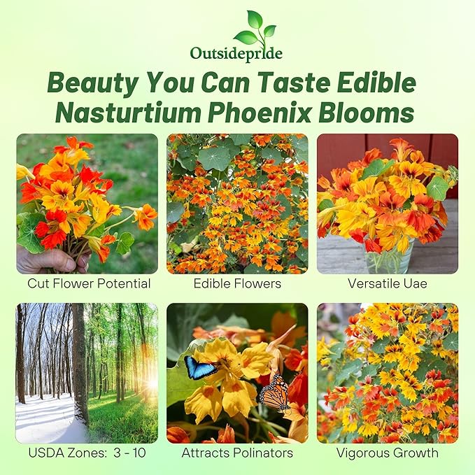 Outsidepride Phoenix Mix Nasturtium Seeds - 25 Pcs Annual, Easy to Grow & Versatile, Flower Seeds for Planting Vibrant Blooms, Ideal for Gardens, Borders, and Pollinator Gardens