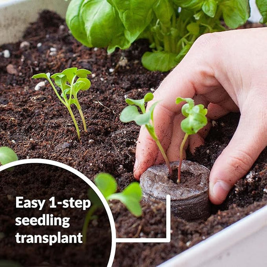 Jiffy Peat Soil Pellets Seed Starter Plugs - Indoor Seedling Planter - 1000 Count - Peat