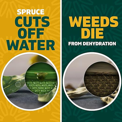Spruce Weed Killer Spray - Snap & Spray Weed & Grass Killer₂ Powered Starter Kit - Reusable Sprayer with Wand for Spot-Treating Driveways, Gardens & More (64 Oz Bottle)
