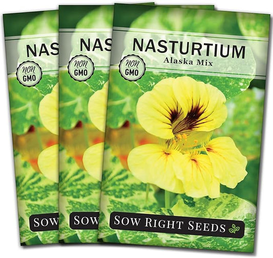 Sow Right Seeds - Dwarf Alaska Mix Nasturtium Seeds for Planting - Edible Flower - Non-GMO Heirloom Packet with Instructions to Plant in Your Garden - Warm Colored Blooms and Variegated Leaves (3)
