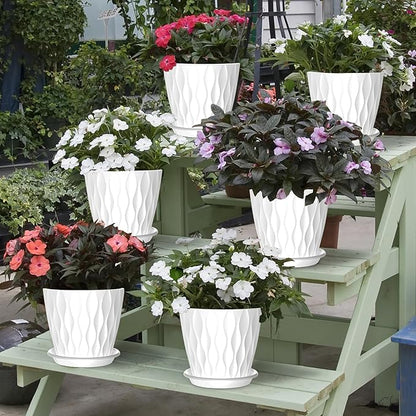 6 Pack 6 Inch Indoor Plant Pots with Drainage Holes, Outdoor Plastic Decorative Flower Pots, Garden Planters with Tray Saucers for Orchids, Violets, Succulents, Herbs, and Other Plants