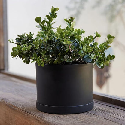 Bloem Mathers 6" Black Round Modern Resin Garden Planter Pot with Drainage Holes and Removable Saucer Tray Included