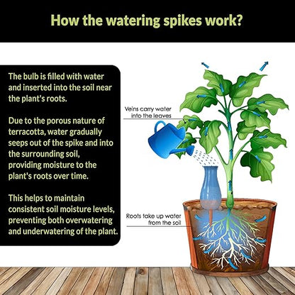 Drip Irrigation Stakes - Extra Large Improved Drip Easy-Refill 4 Week Waterer System with Large Reservoir Bulbs - Automatic Self-Watering Device for Indoor & Outdoor Plants