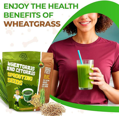 Todd's Seeds Wheatgrass Seeds; Hard Red Winter Wheat, Non-GMO, Chemical Free, High Germination (10 Pounds)