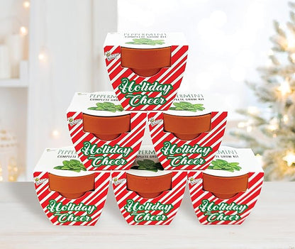 BUZZY Seeds Holiday Candy Cane Mini Terracotta Grow Pots, 6-Pack Peppermint Seeds, Indoor Plant Starter Kit, Stocking Stuffers, Party Favors