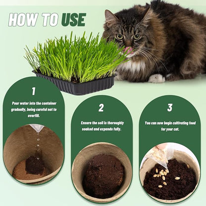 Organic Potting Soil for Indoor Cat Grass, Great Seedling Soil for Wheat Grass, Bermuda, Catnip, and All Indoor Herb Plants